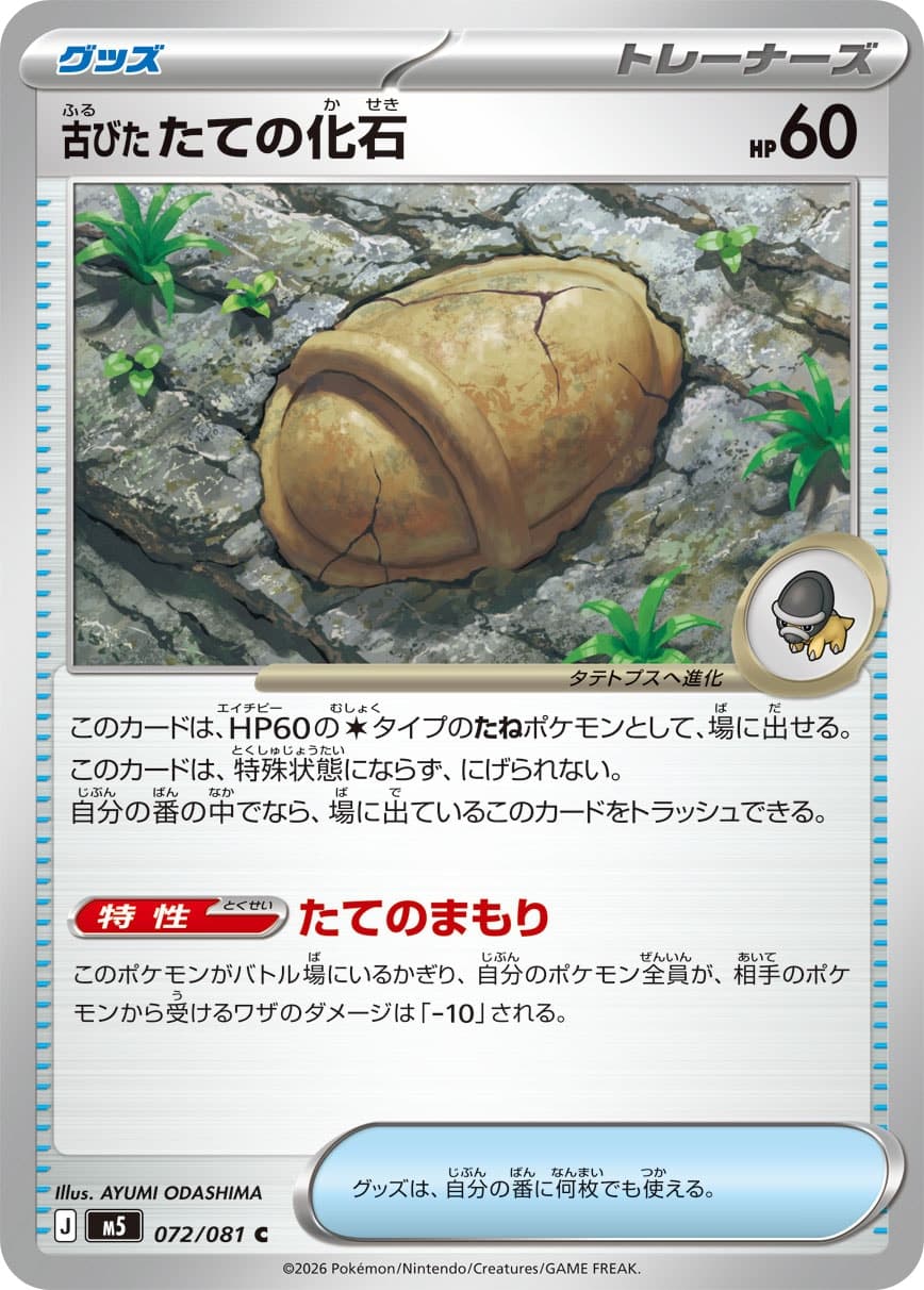 古びたたての化石