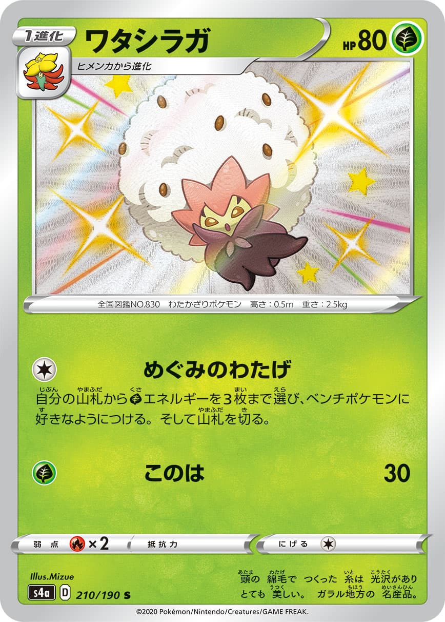 ワタシラガ