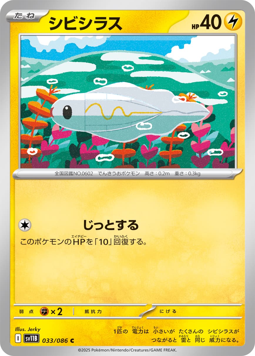 シビシラス
